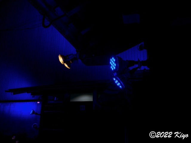 EB202638-ORF_DxO_DeepPRIME_CameraRAW_signed.jpg