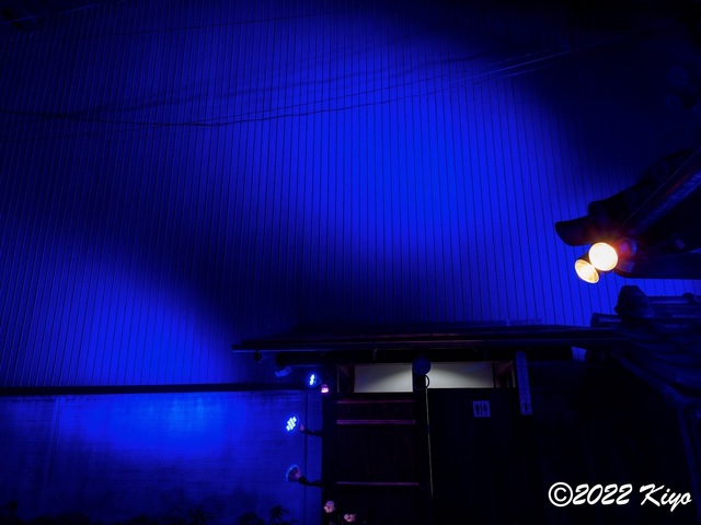 EB202641-ORF_DxO_DeepPRIME_CameraRAW_signed.jpg