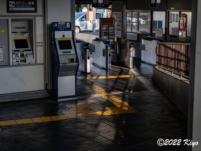 EB212687-ORF_DxO_DeepPRIME_CameraRAW_signed.jpg