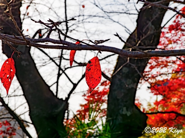 EB212704-ORF_DxO_DeepPRIME_CameraRAW_signed.jpg