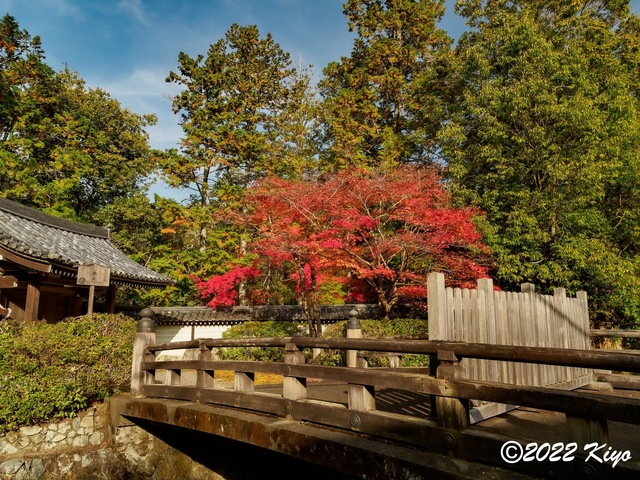 EB212741-ORF_DxO_DeepPRIME_CameraRAW_signed.jpg