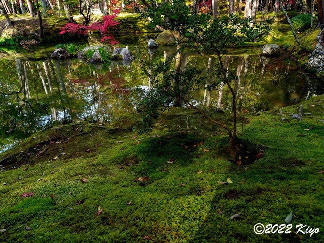 EB213003-ORF_DxO_DeepPRIME_CameraRAW_signed.jpg