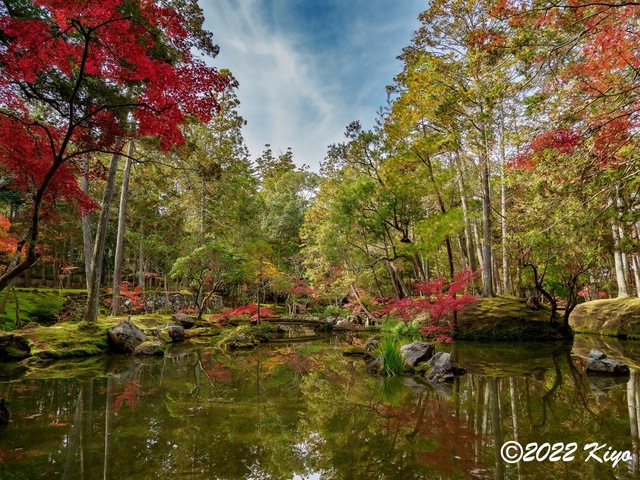 EB213008-ORF_DxO_DeepPRIME_CameraRAW_signed.jpg