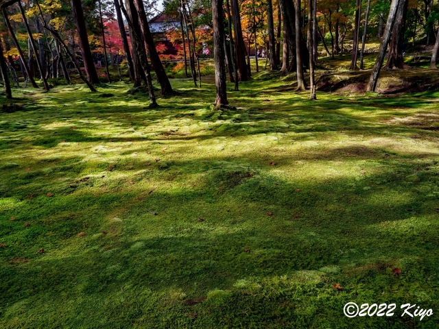 EB213054-ORF_DxO_DeepPRIME_CameraRAW_signed.jpg