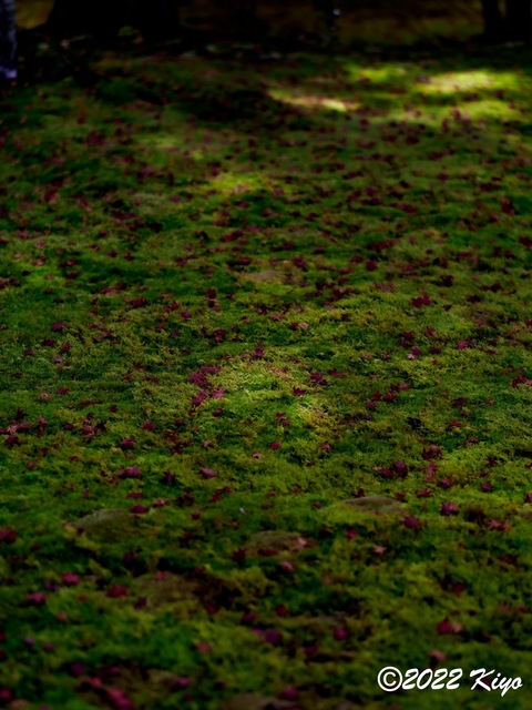 EB213106-ORF_DxO_DeepPRIME_CameraRAW_signed.jpg