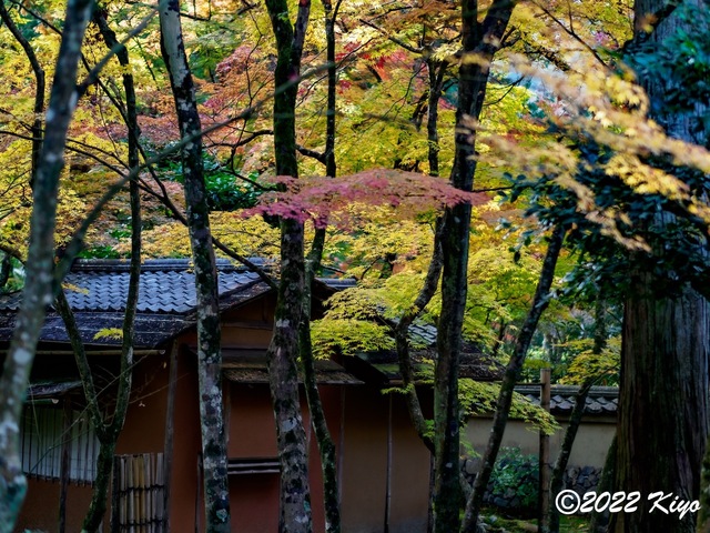 EB213112-ORF_DxO_DeepPRIME_CameraRAW_signed.jpg