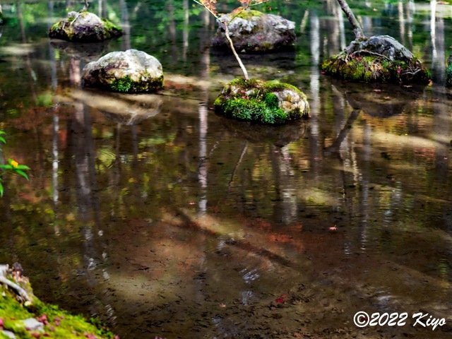 EB213115-ORF_DxO_DeepPRIME_CameraRAW_signed.jpg