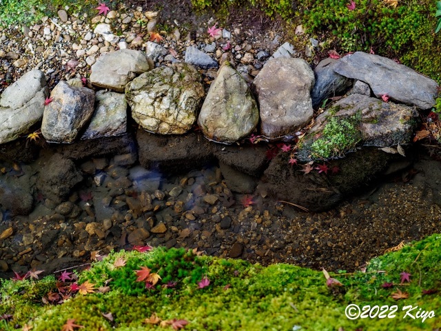 EB213216-ORF_DxO_DeepPRIME_CameraRAW_signed.jpg