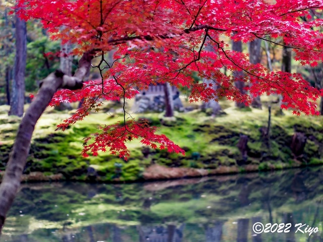 EB213222-ORF_DxO_DeepPRIME_CameraRAW_signed.jpg