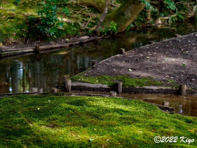 EB213226-ORF_DxO_DeepPRIME_CameraRAW_signed.jpg