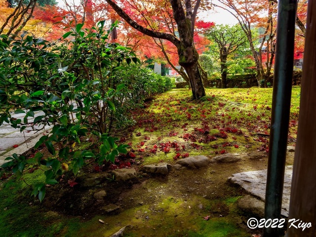 EB213280-ORF_DxO_DeepPRIME_CameraRAW_signed.jpg