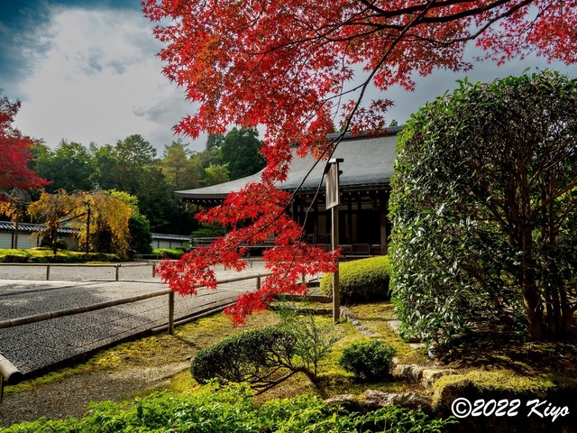 EB213285-ORF_DxO_DeepPRIME_CameraRAW_signed.jpg