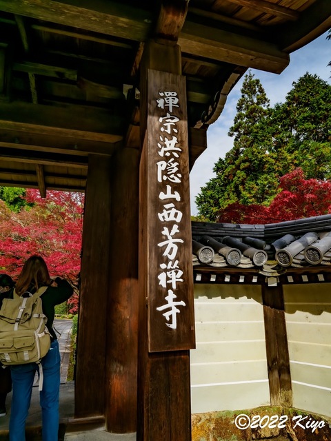 EB213292-ORF_DxO_DeepPRIME_CameraRAW_signed.jpg