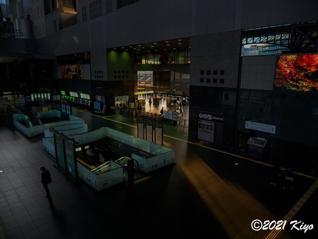 EB270007_CameraRAW_2048_signed.jpg