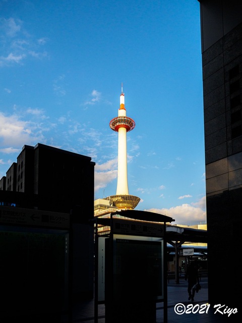 EB270857_CameraRAW_2048_signed.jpg