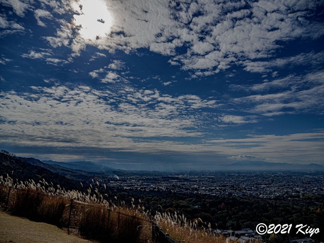 EB292190_CameraRAW_2048_signed.jpg