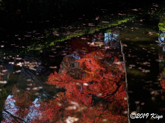 EB300102_CameraRAW_2048_2048x1536_signed.jpg