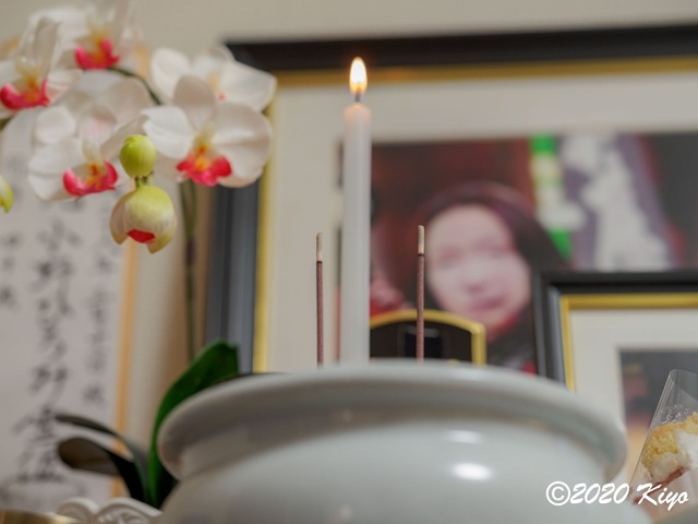 EC110011_CameraRAW_2048_2048x1536_signed.jpg