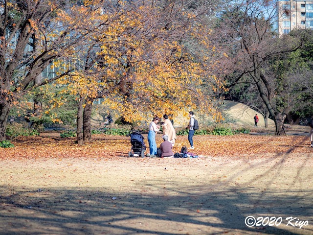 EC140592_CameraRAW_2048_2048x1536_signed.jpg