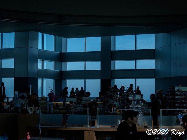 EC151132_CameraRAW_2048_2048x1536_signed.jpg