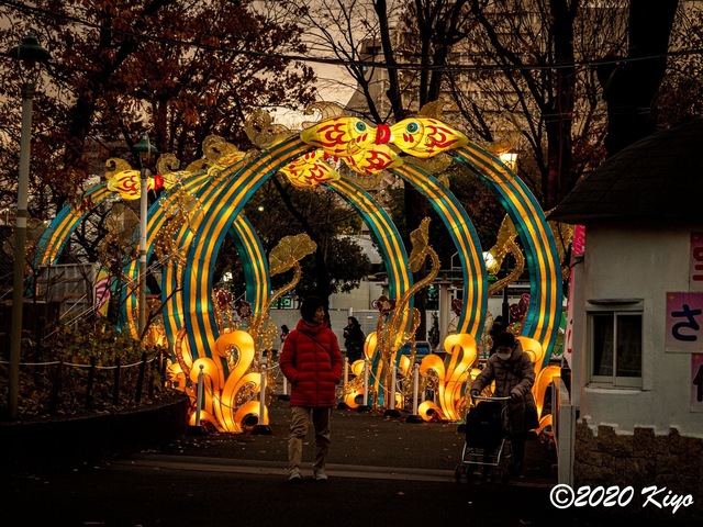 EC151279_CameraRAW_2048_2048x1536_signed.jpg