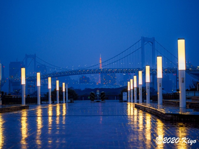 EC221704_CameraRAW_2048_2048x1536_signed.jpg
