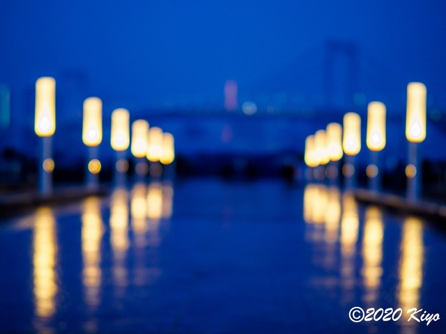 EC221711_CameraRAW_2048_2048x1536_signed.jpg