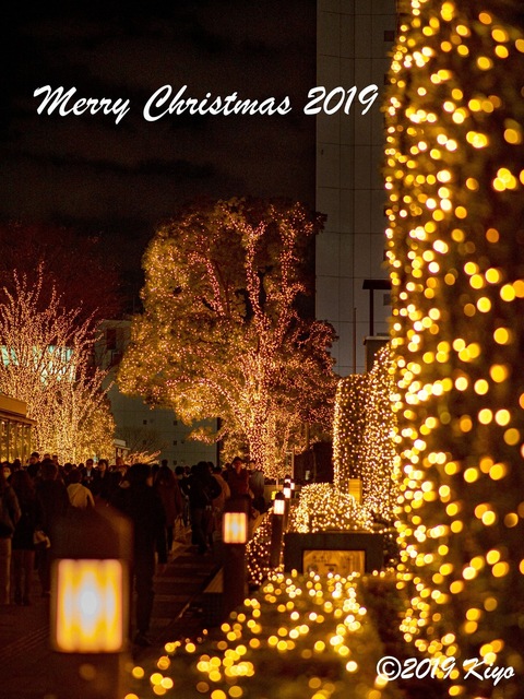EC2401793_Merry_Christmas_2019_2_2048x1536_signed.jpg