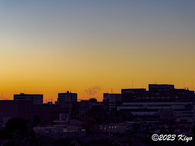 O1010995-ORF_DxO_DeepPRIME_CameraRAW2_signed.jpg