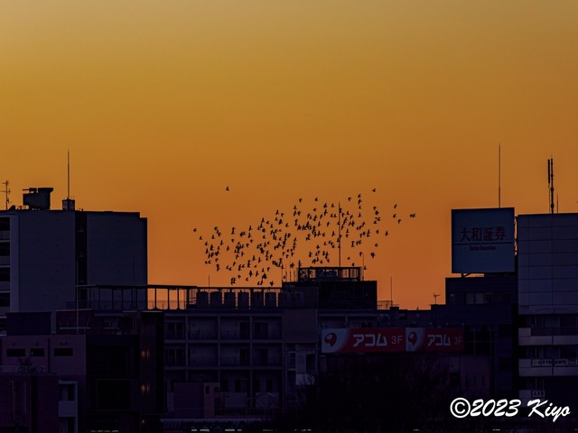 O1010996-ORF_DxO_DeepPRIME_CameraRAW2_signed.jpg