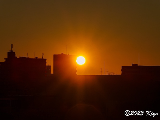 O1011055-ORF_DxO_DeepPRIME_CameraRAW2_signed.jpg