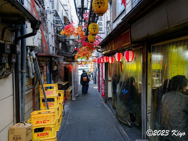 O1280413-ORF_DxO_DeepPRIME_CameraRAW2_signed.jpg