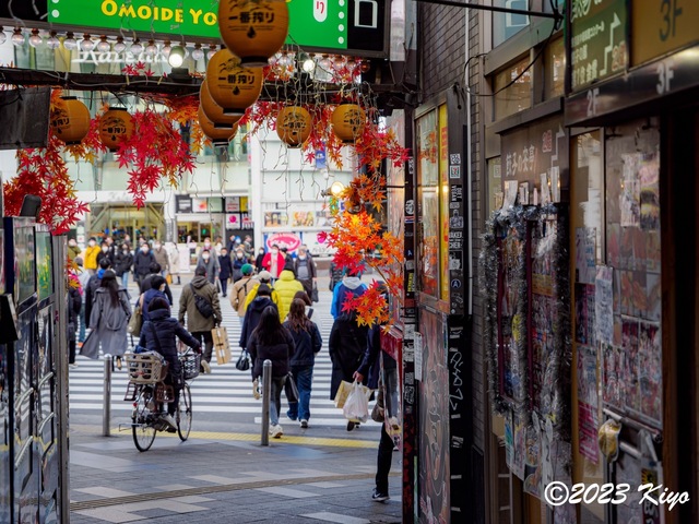 O1280417-ORF_DxO_DeepPRIME_CameraRAW2_signed.jpg