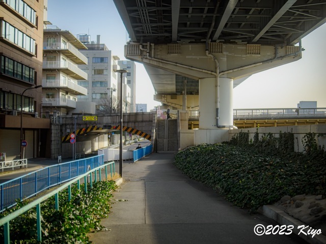 O3110231-ORF_DxO_DeepPRIME_CameraRAW2_signed.jpg