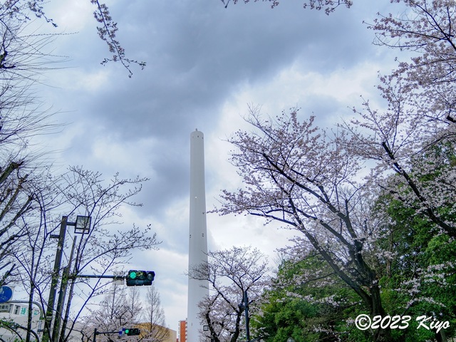 O3240438-ORF_DxO_DeepPRIMEXD_CameraRAW2_signed.jpg