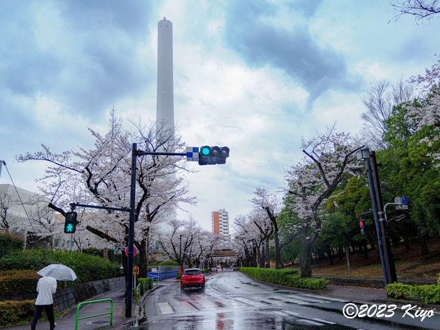 O3240441-ORF_DxO_DeepPRIMEXD_CameraRAW2_signed.jpg