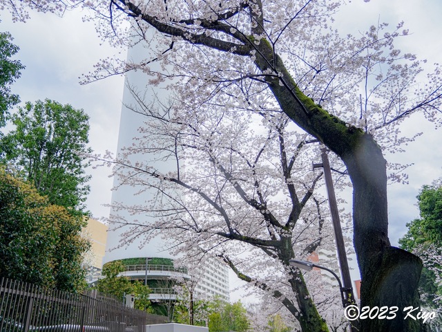 O3240463-ORF_DxO_DeepPRIMEXD_CameraRAW2_signed.jpg
