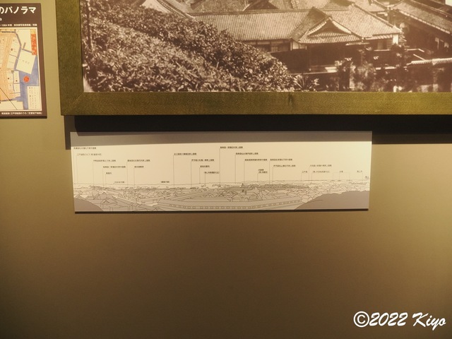 O3260431_signed.jpg