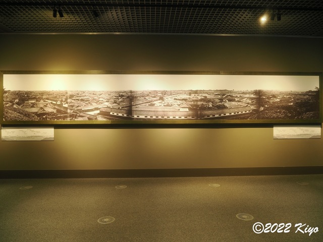 O3260436_signed.jpg