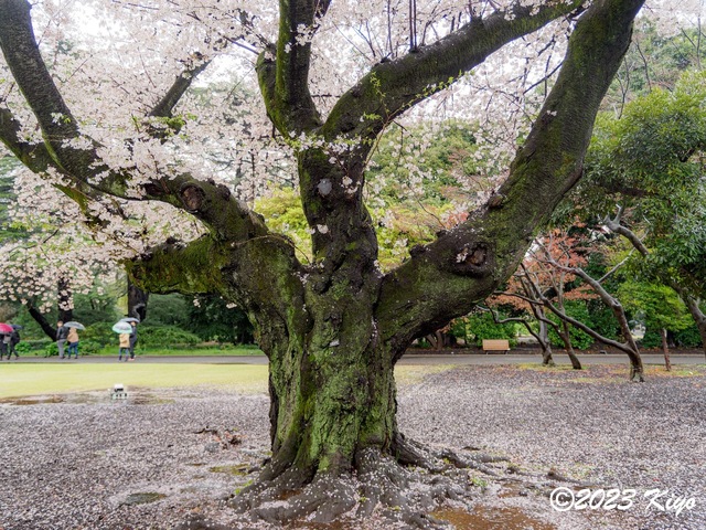 O3260523-ORF_DxO_DeepPRIMEXD_CameraRAW2_signed.jpg