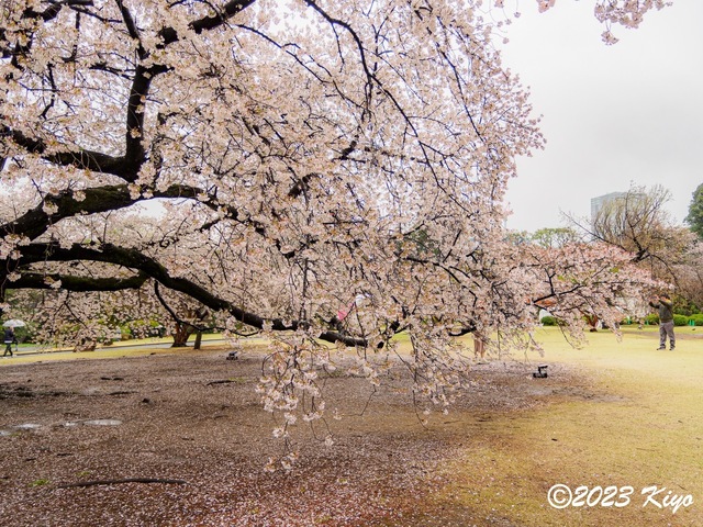 O3260563-ORF_DxO_DeepPRIMEXD_CameraRAW2_signed.jpg