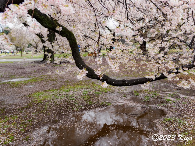 O3260580-ORF_DxO_DeepPRIMEXD_CameraRAW2_signed.jpg