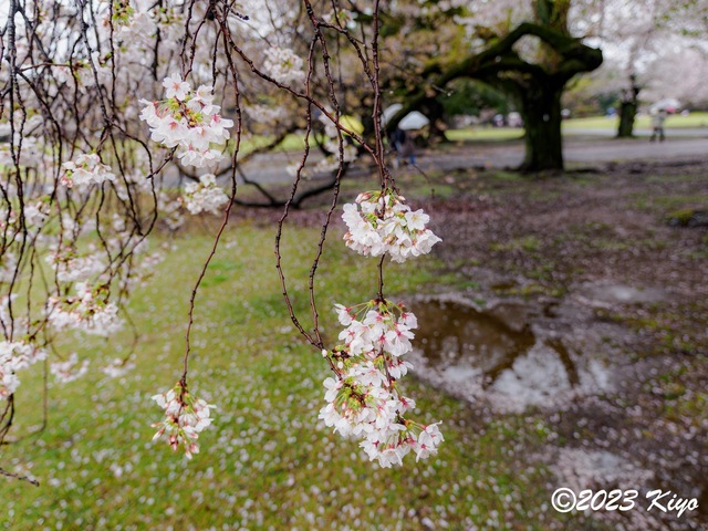O3260586-ORF_DxO_DeepPRIMEXD_CameraRAW2_signed.jpg