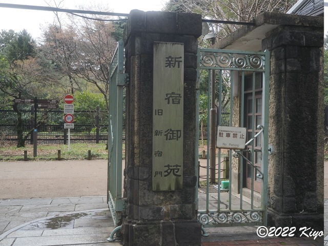 O3270693_signed.jpg