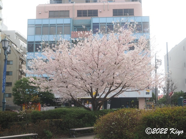 O3300830_signed.jpg