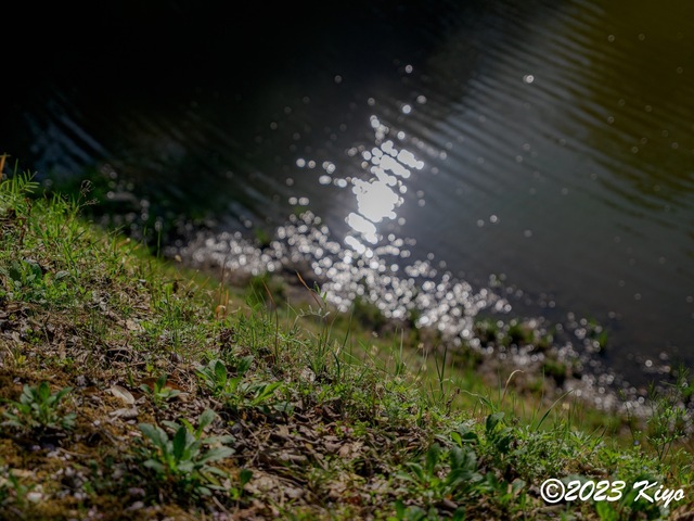 O4090945-ORF_DxO_DeepPRIMEXD_CameraRAW2_signed.jpg