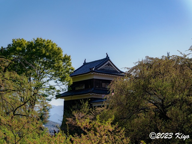 O4090948-ORF_DxO_DeepPRIMEXD_CameraRAW2_signed.jpg