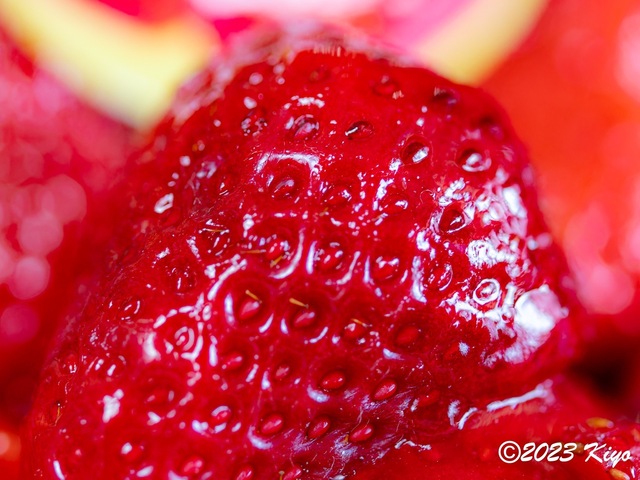 O4110961-ORF_DxO_DeepPRIMEXD_CameraRAW2_signed.jpg