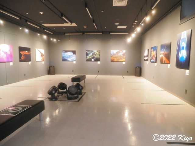 O4161186_signed.jpg