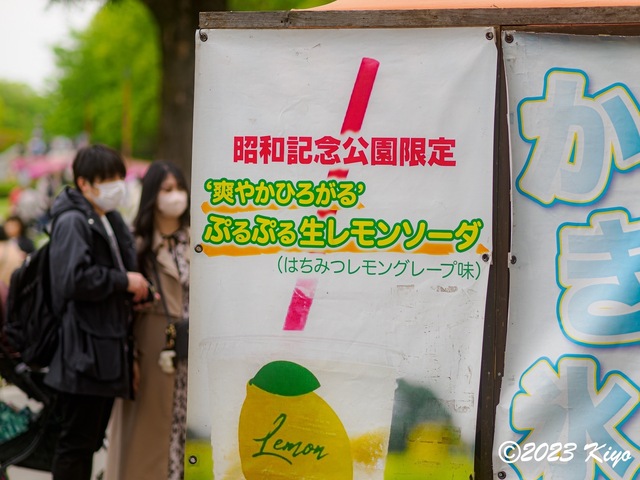 O4221110-ORF_DxO_DeepPRIMEXD_CameraRAW2_signed.jpg